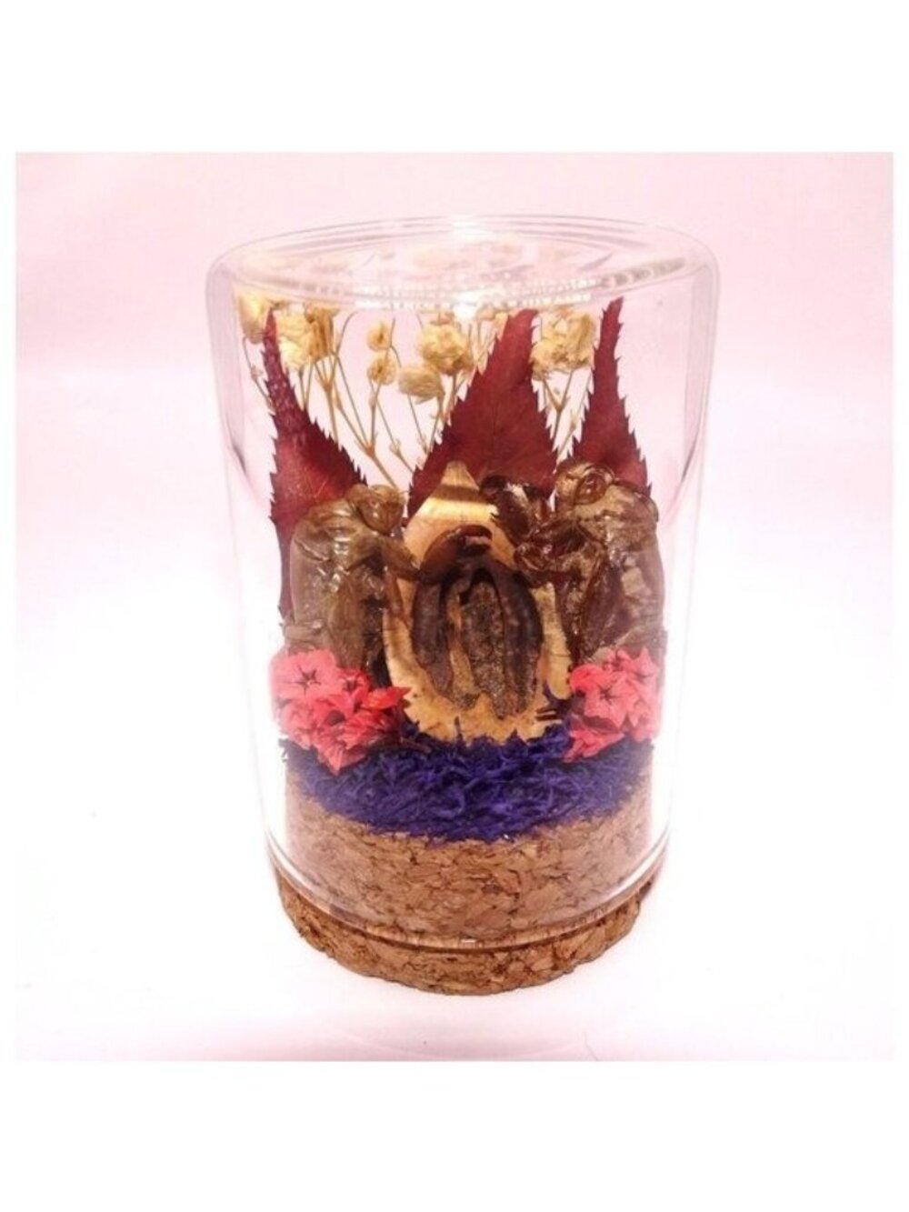 Cicada Skins Nut Shell Flowers Oddity Jar goth insect diorama nature art